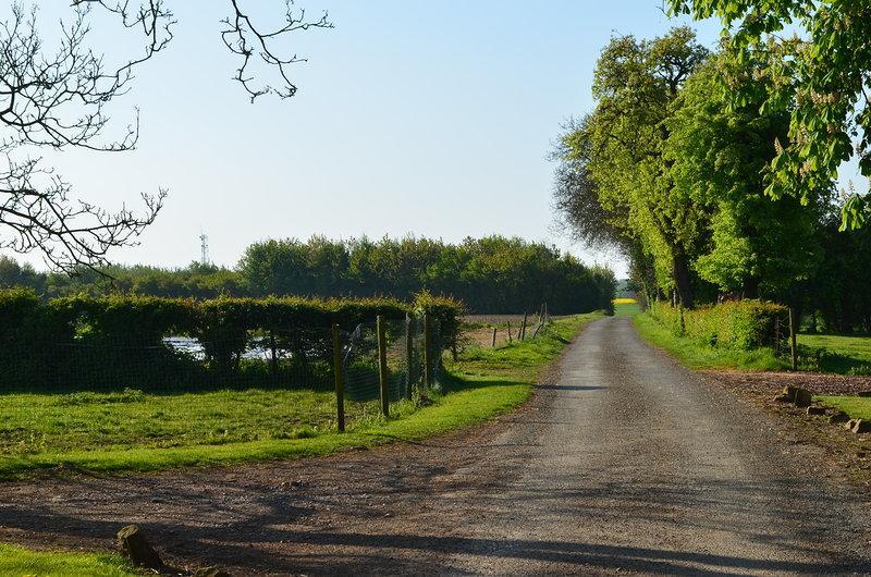 La Ferme Du Bois Quesnoy Bed and Breakfast Saint-Pol-sur-Ternoise Εξωτερικό φωτογραφία